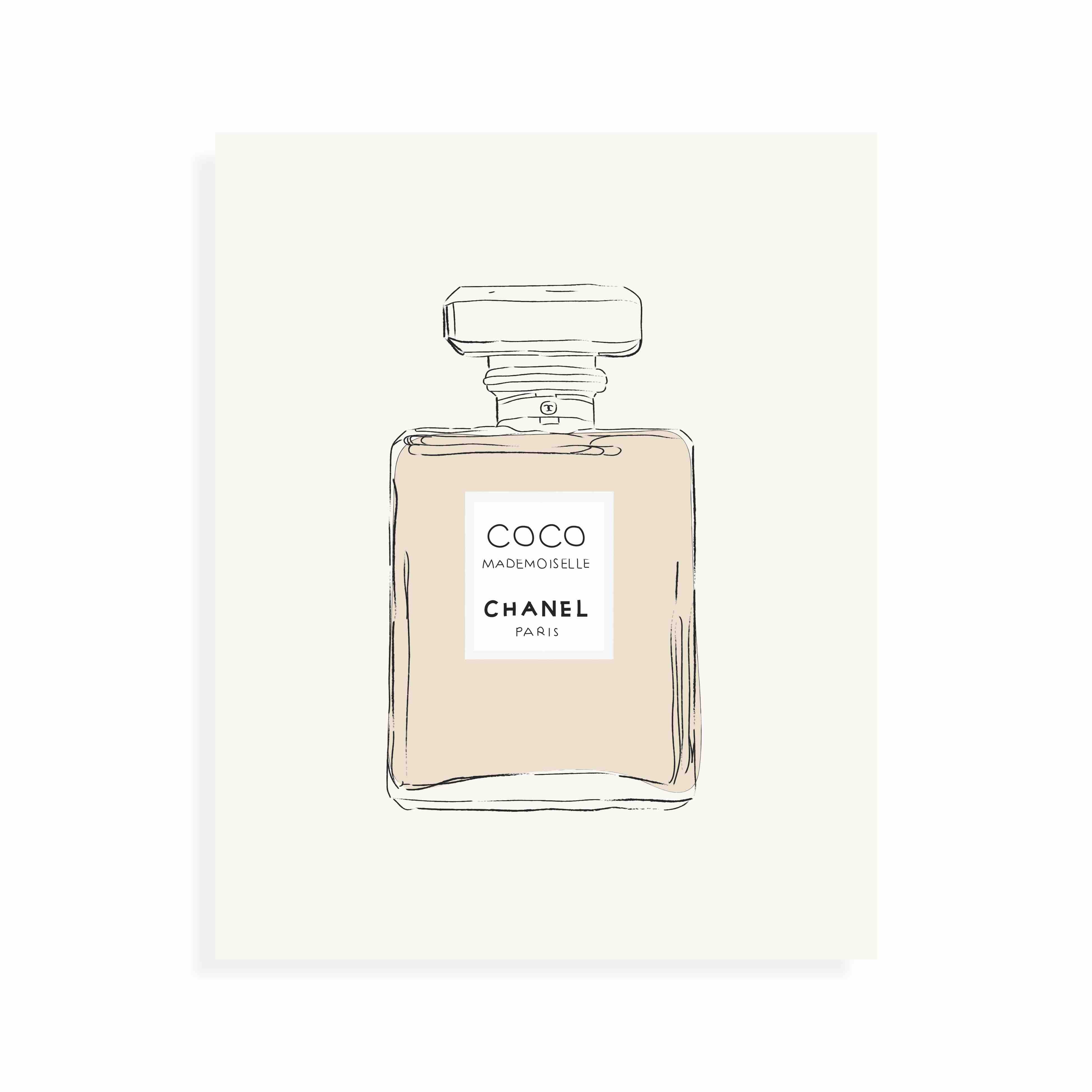 Chanel No  Perfume Drawing Png PNG Image  Transparent PNG Free Download  on SeekPNG